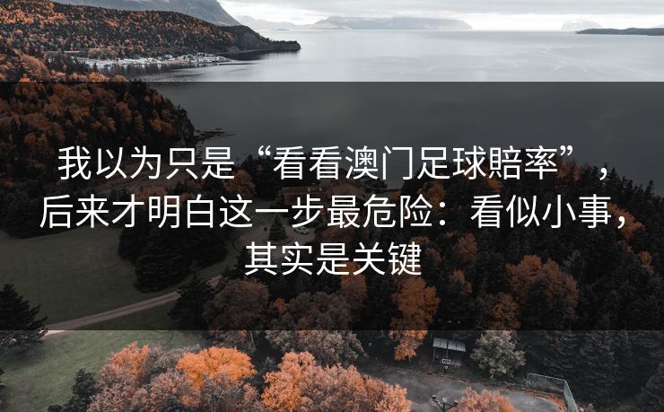 我以为只是“看看澳门足球賠率”,后来才明白这一步最危险:看似小事,其实是关键 我以为只是“看看澳门足球賠率”,后来才明白这一步最危险:看似小事,其实是关键