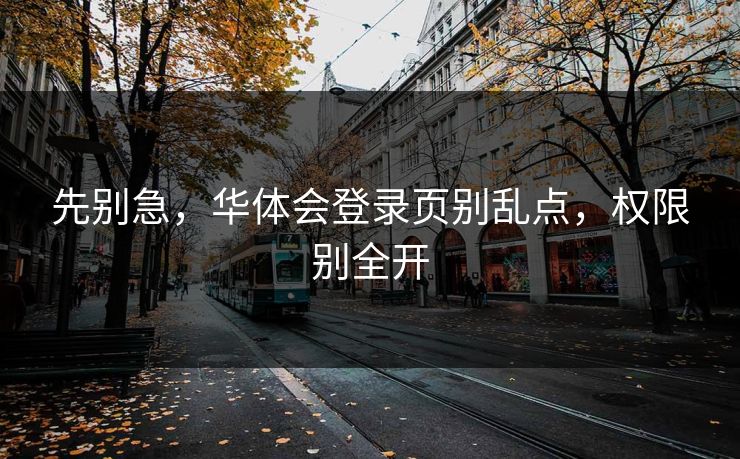 先别急，华体会登录页别乱点，权限别全开