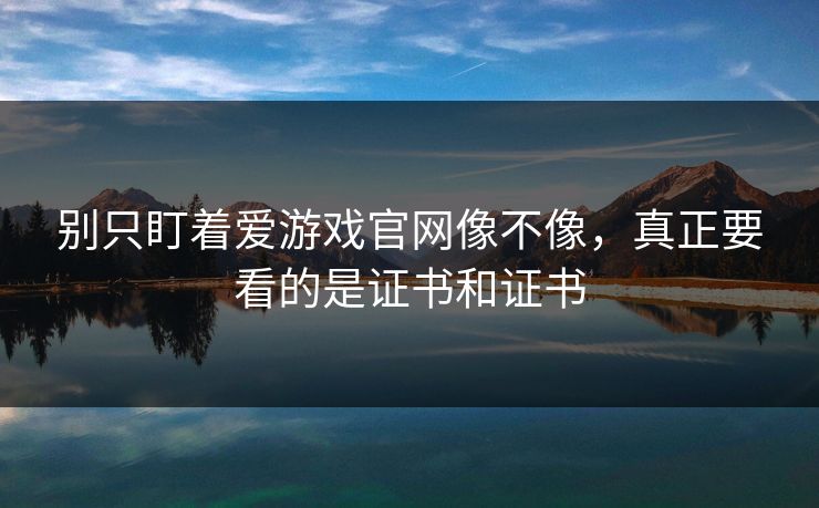 别只盯着爱游戏官网像不像,真正要看的是证书和证书 别只盯着爱游戏官网像不像,真正要看的是证书和证书